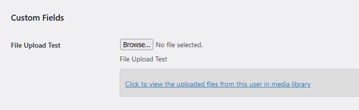 Custom File Upload Example 
